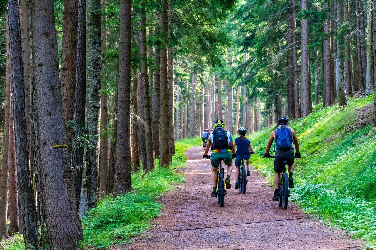 découvrez le vélo écologique, une manière durable et respectueuse de l'environnement pour explorer la nature tout en préservant la planète. rejoignez le mouvement vers un transport écoresponsable et profitez de balades uniques en harmonie avec la nature.