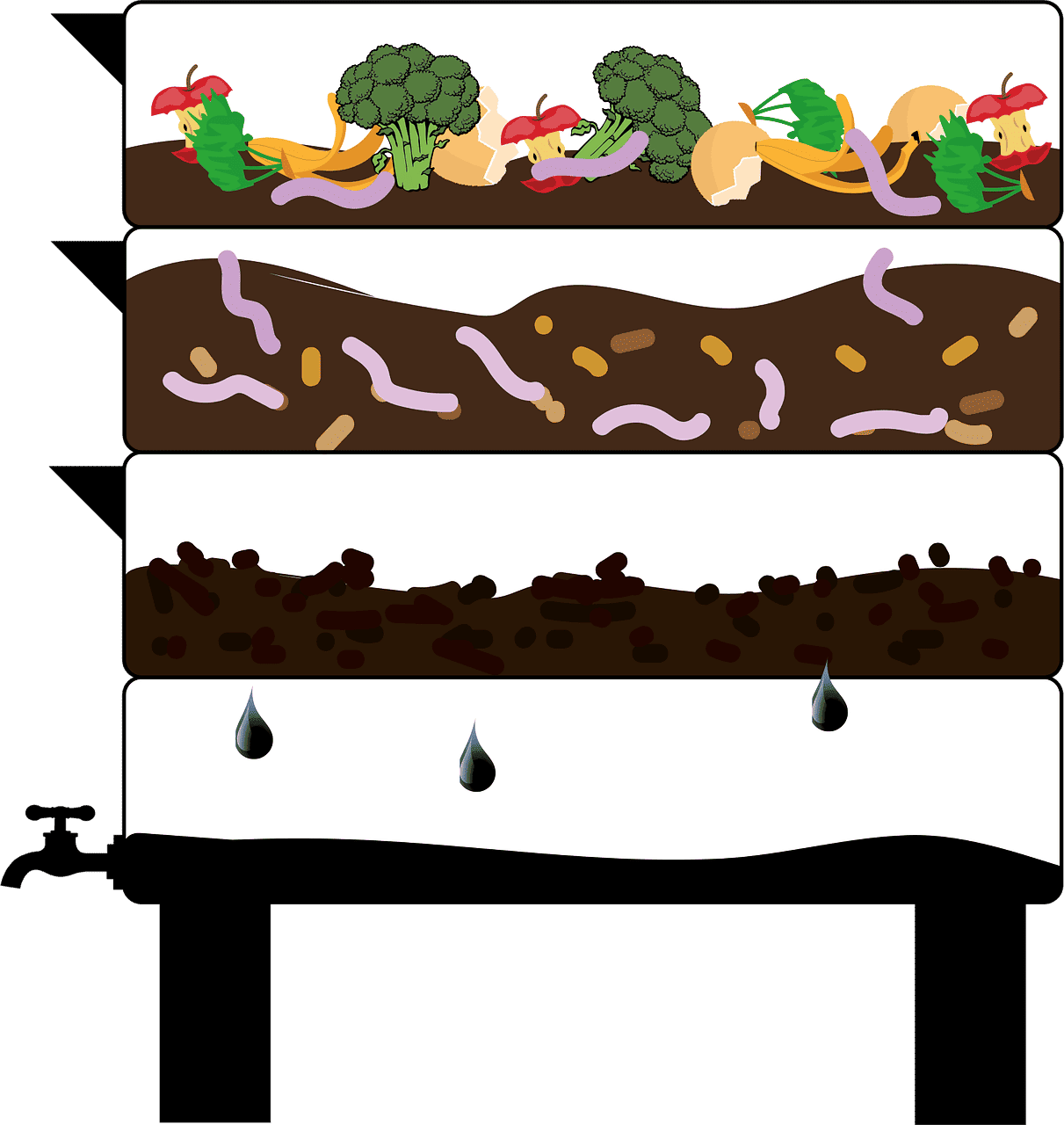 découvrez le vermicompostage, une méthode naturelle et écologique de compostage utilisant des vers de terre pour recycler vos déchets organiques et enrichir votre jardin.