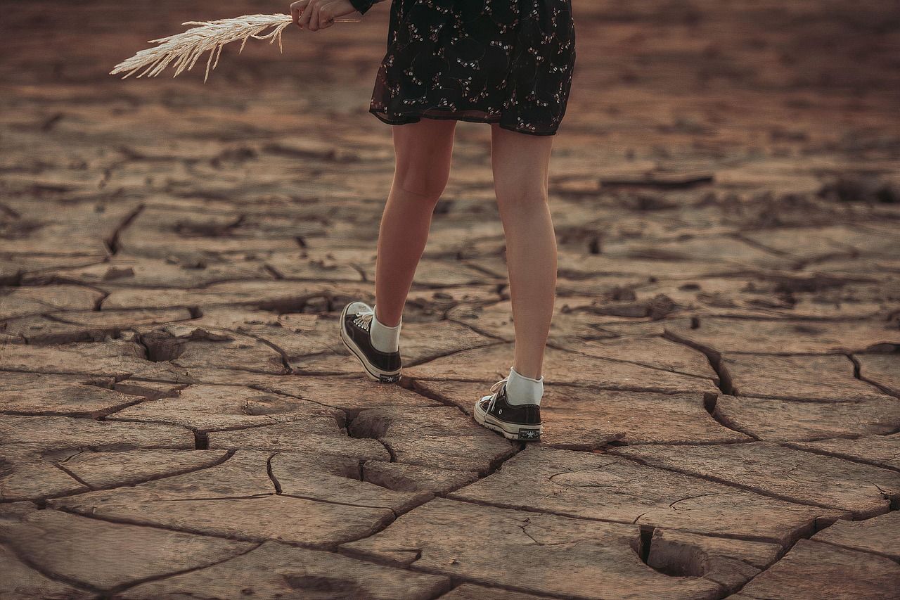 découvrez les enjeux, causes et solutions liés au changement climatique, ainsi que son impact sur l’environnement et notre quotidien. informez-vous sur les actions possibles pour protéger la planète.