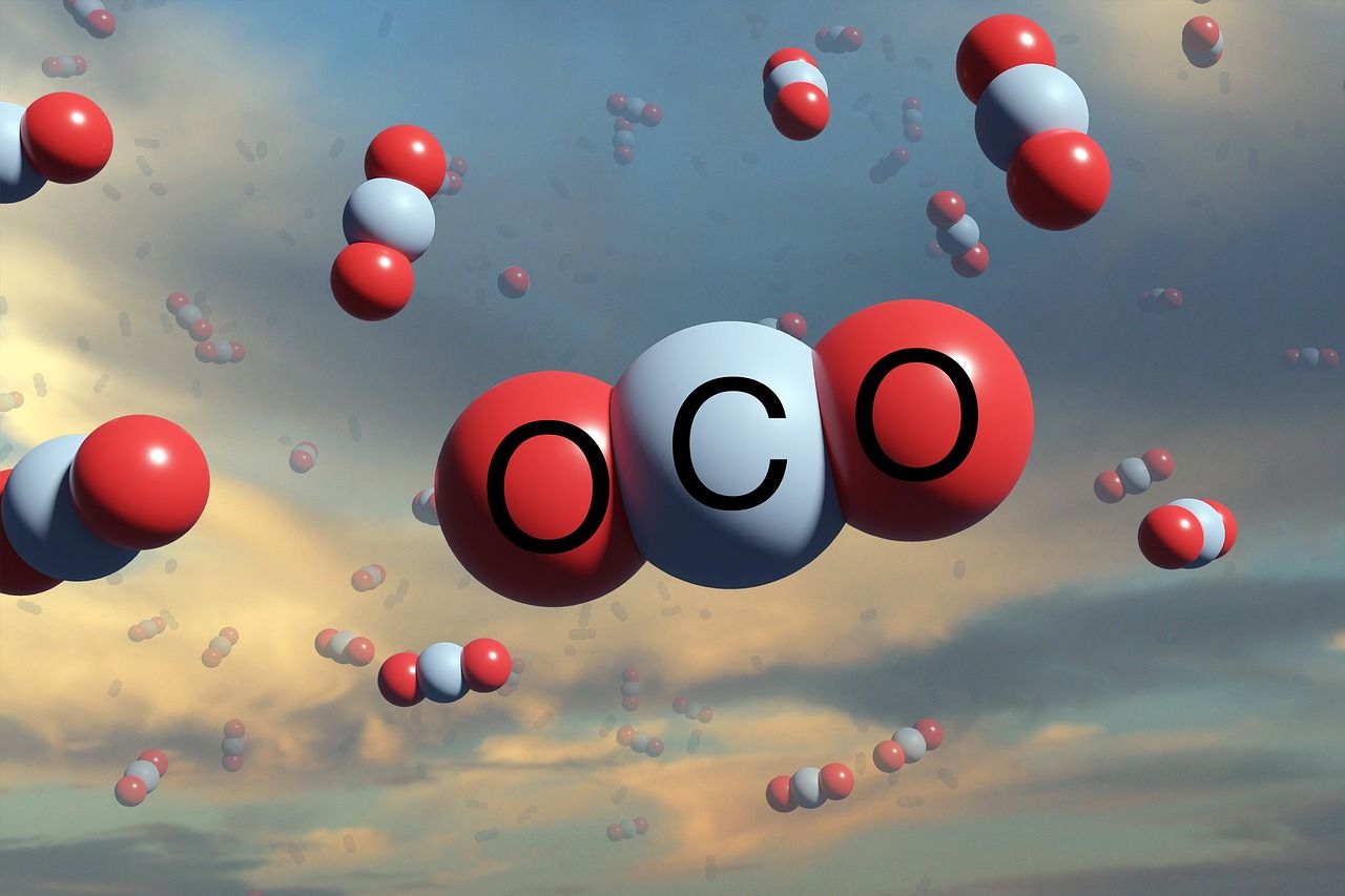 découvrez tout ce qu'il faut savoir sur l'empreinte carbone : définition, impact environnemental, et conseils pratiques pour réduire votre contribution à ce phénomène crucial pour la planète. engagez-vous pour un avenir plus durable dès aujourd'hui !