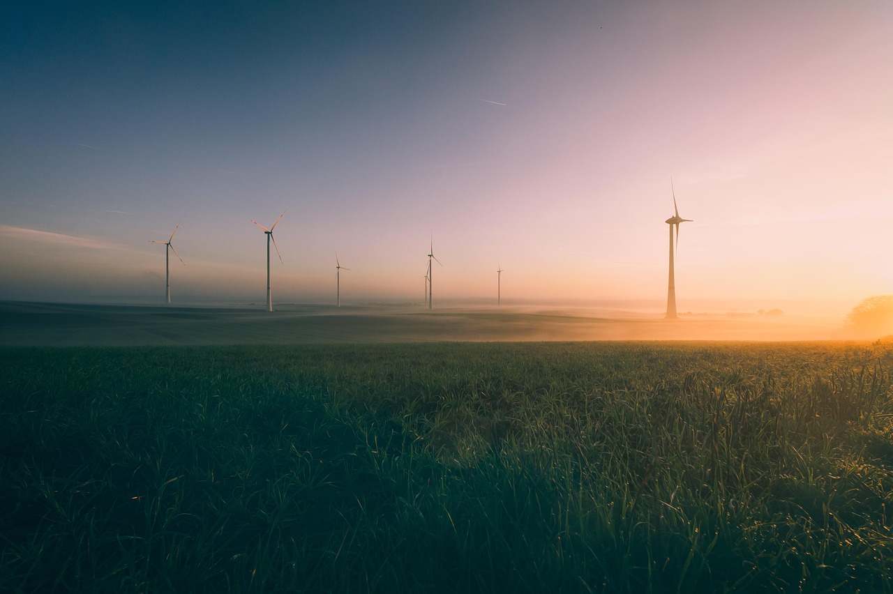 explorez les enjeux essentiels de l'environnement, découvrez des solutions durables et engagez-vous pour la protection de notre planète.