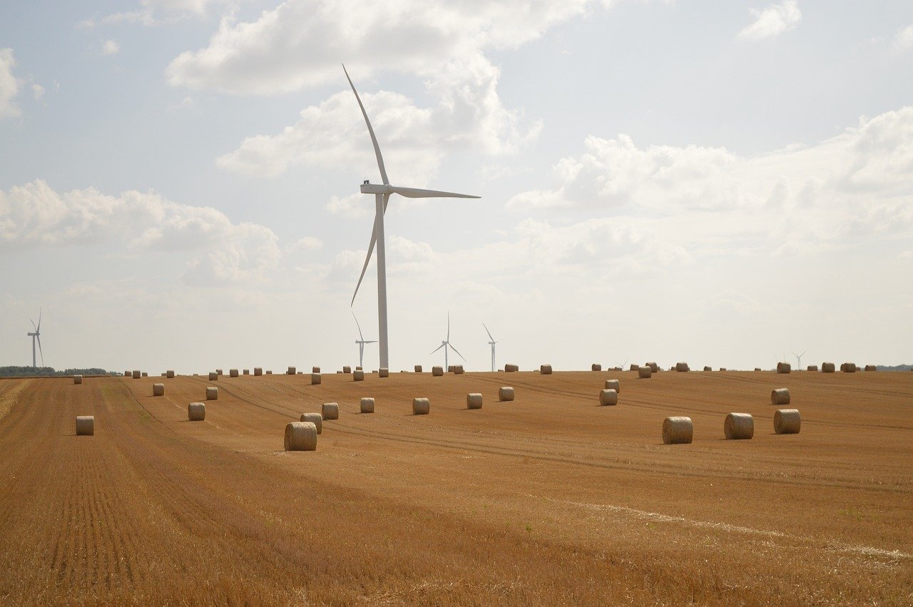 découvrez le développement durable : un modèle de croissance qui respecte l’environnement, renforce l’équité sociale et soutient l’économie pour les générations futures.