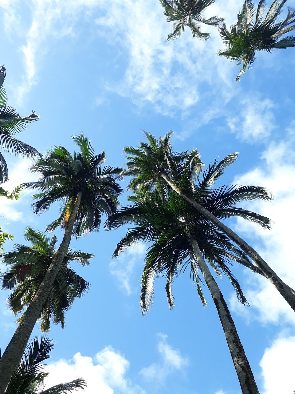 découvrez les initiatives de responsabilité sociétale des entreprises (rse) à maurice, promouvant un développement durable et un impact positif sur la communauté locale.