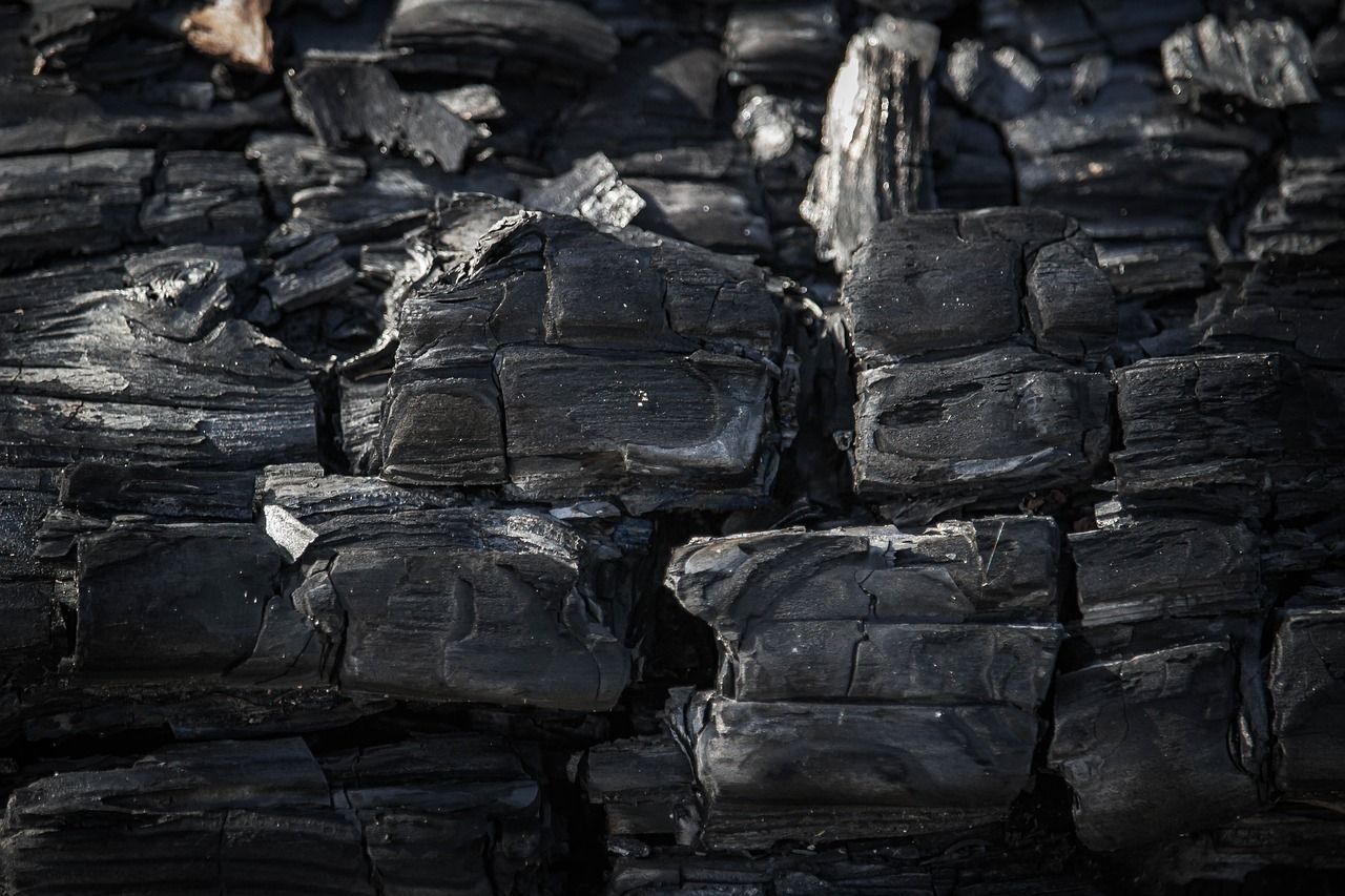 découvrez tout ce que vous devez savoir sur l'empreinte carbone : définition, enjeux écologiques, et conseils pratiques pour réduire votre impact sur l'environnement. agissez dès maintenant pour un avenir durable.