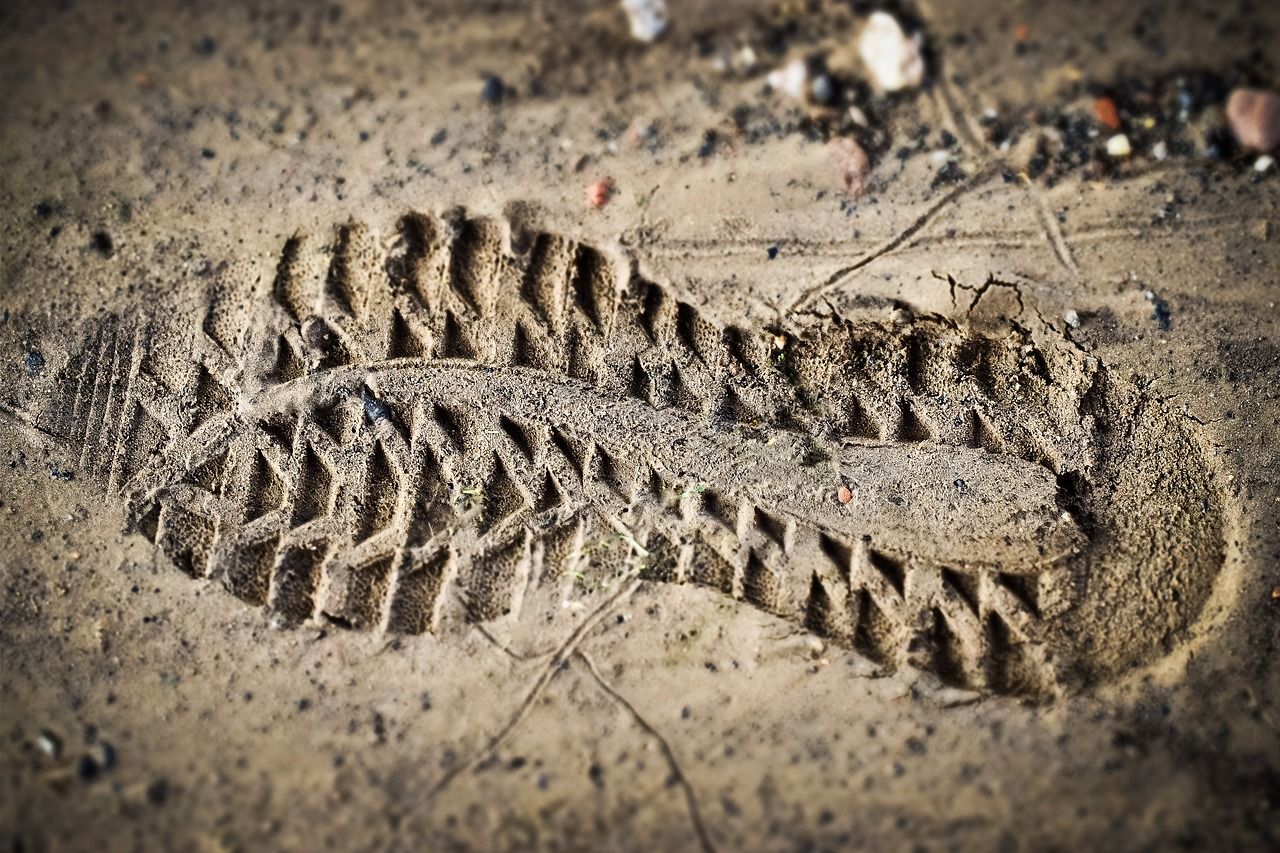 découvrez tout sur l'empreinte carbone : son impact sur l'environnement, des conseils pratiques pour la réduire et des solutions durables pour un avenir plus vert.