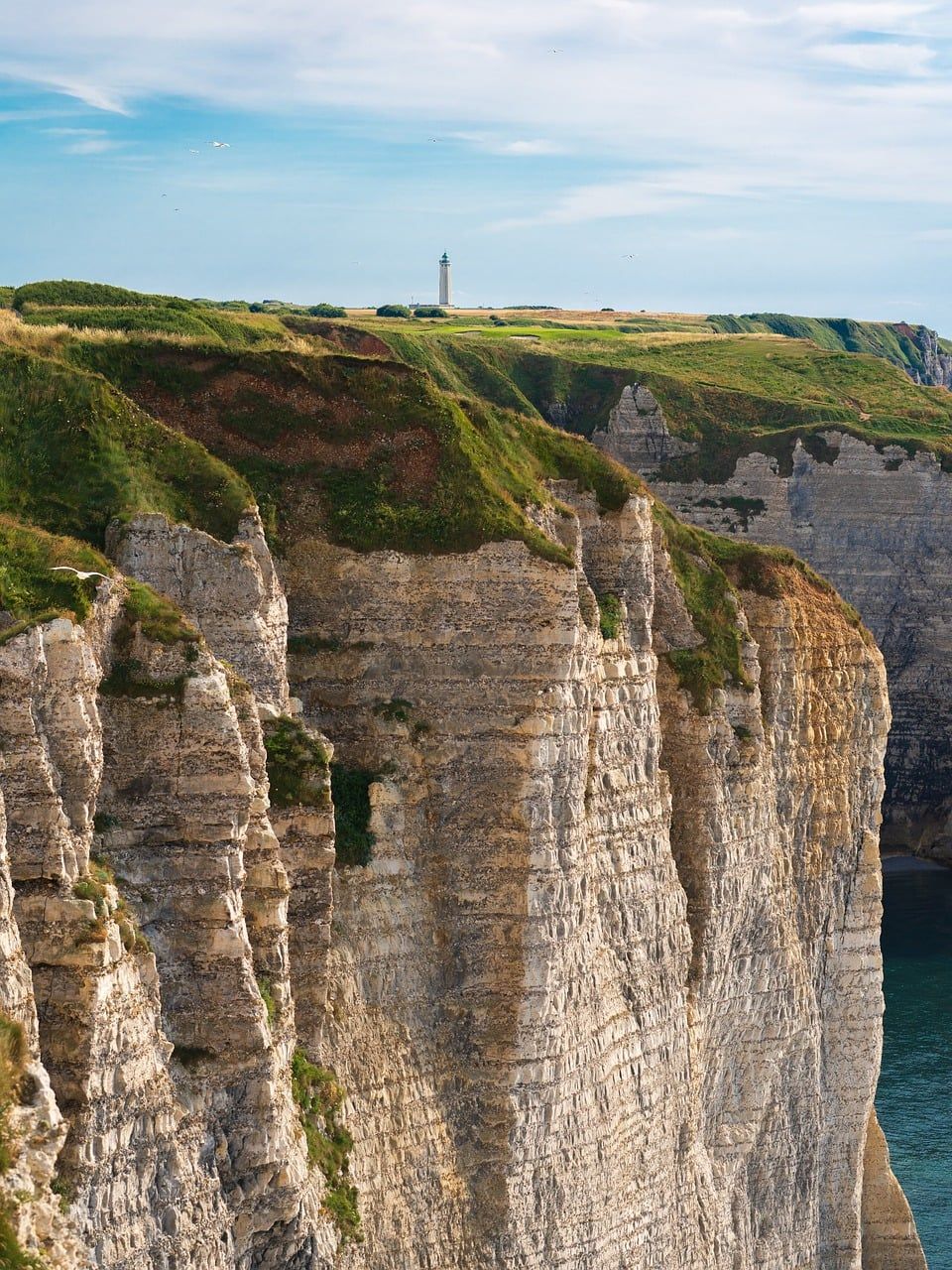 découvrez l'engagement de la france au sein du g7 pour protéger l'environnement et promouvoir des actions durables à l'échelle mondiale.