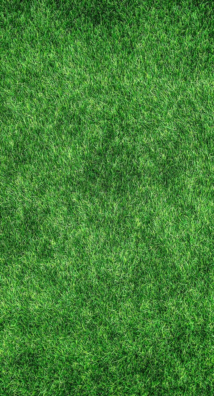 découvrez nos produits de nettoyage écologiques, efficaces et respectueux de l'environnement pour un foyer sain et durable.
