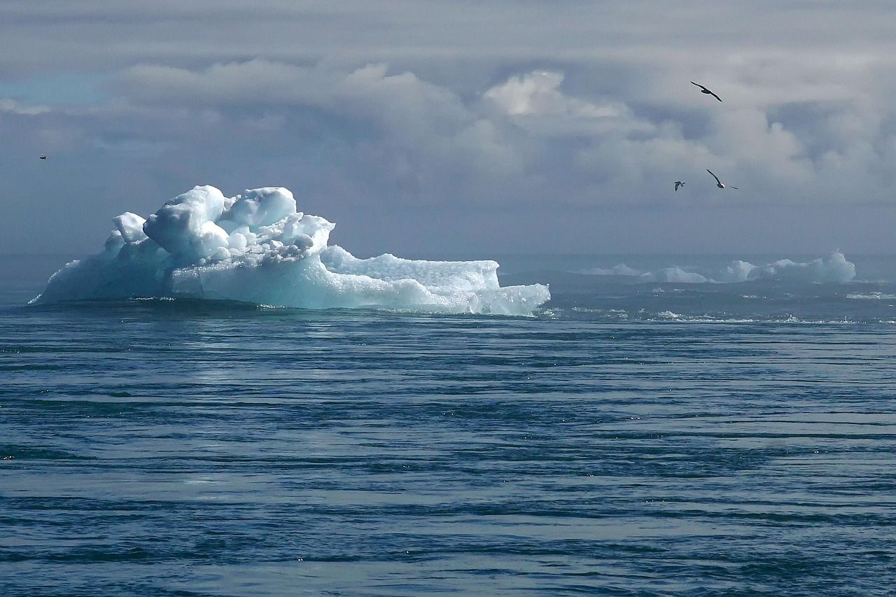 découvrez les causes, les impacts et les solutions du changement climatique pour agir en faveur de la planète et préserver notre avenir.