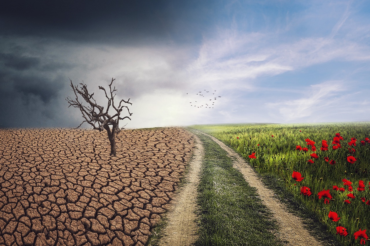découvrez l'impact du changement climatique sur la santé humaine et les initiatives pour protéger notre bien-être face aux défis environnementaux.