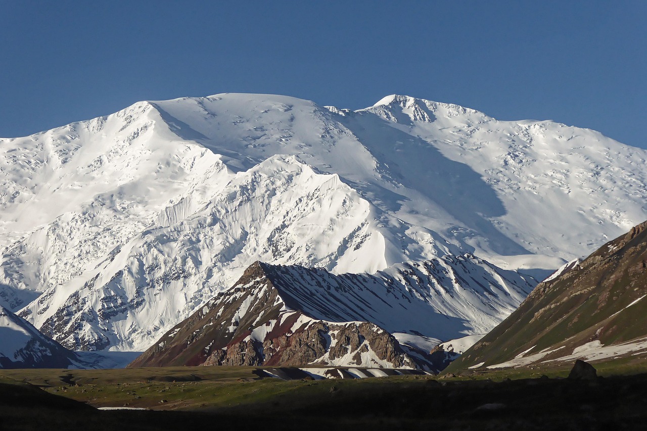découvrez tout sur les glaciers : leur formation, leur importance écologique, et les enjeux liés à leur fonte dans le contexte du changement climatique.