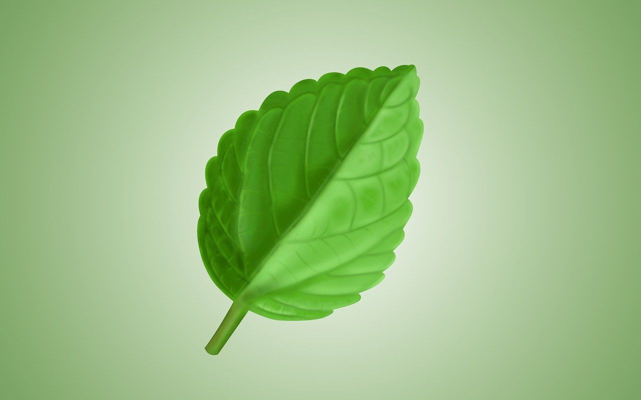 découvrez nos produits de nettoyage écologiques, efficaces et respectueux de l'environnement pour une maison propre et saine.