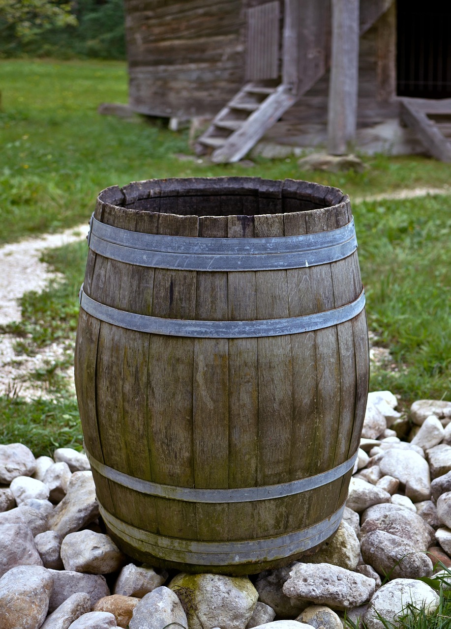 découvrez comment la récupération de l'eau de pluie peut économiser de l'eau, réduire les factures et préserver l'environnement grâce à des méthodes simples et efficaces.