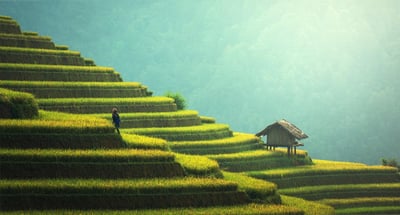 Comment le Costa Rica étend ses pratiques agricoles durables à l’international grâce à Amazon
