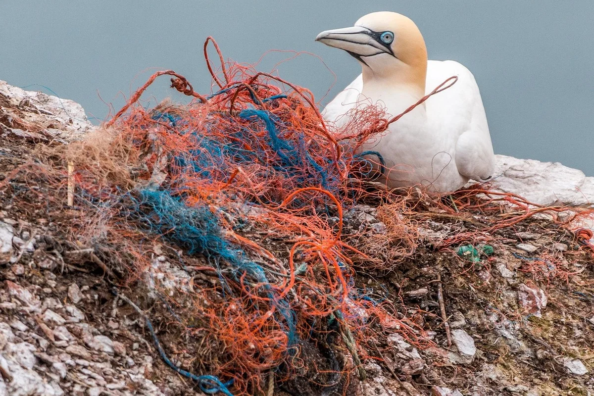 Les leviers qui font vraiment baisser la facture plastique