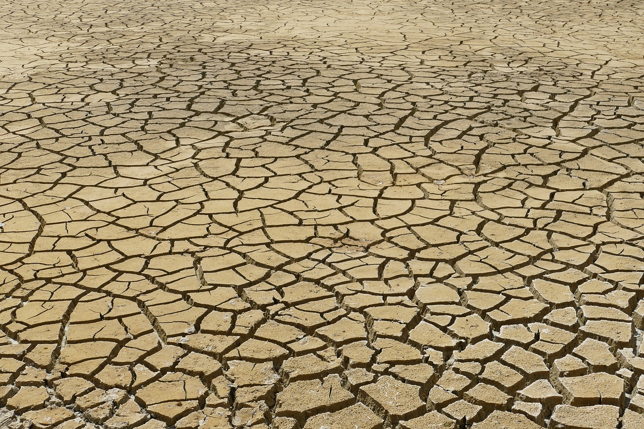 Facteurs déterminants du changement climatique | Données essentielles sur le climat en 2024
