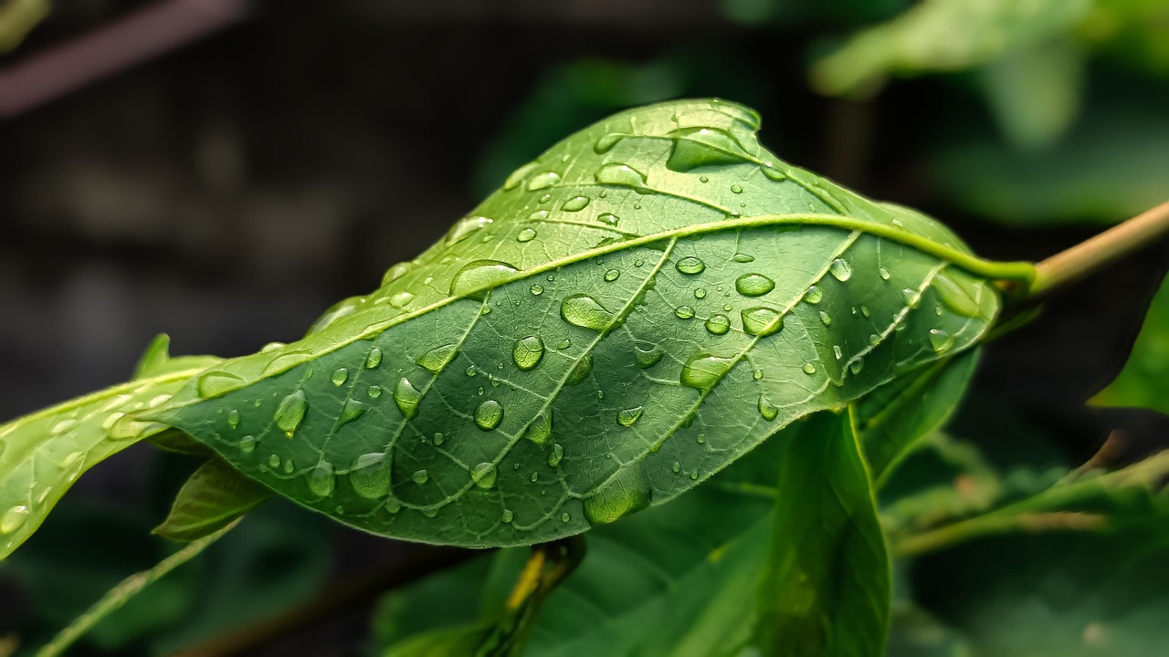 Empreinte hydrique : Comprendre son impact sur l’environnement et nos ressources en eau