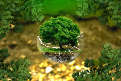 Réserve écologique : Importance de la conservation de la biodiversité