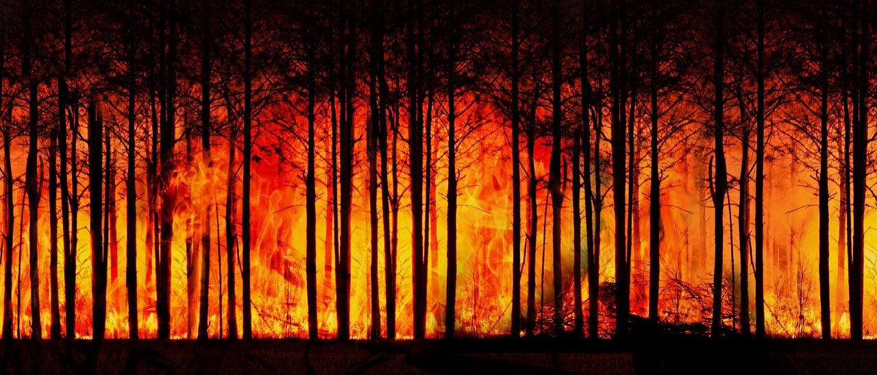 Donald Trump déclare avec insistance que le changement climatique est « l’escroquerie la plus monumentale jamais orchestrée à l’échelle mondiale »