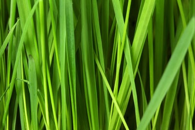 À Entraygues-sur-Truyère, un garagiste engagé qui met sa passion au service de l’environnement