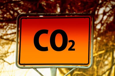 Transition écologique au quotidien : des gestes simples pour changer la donne chez soi
