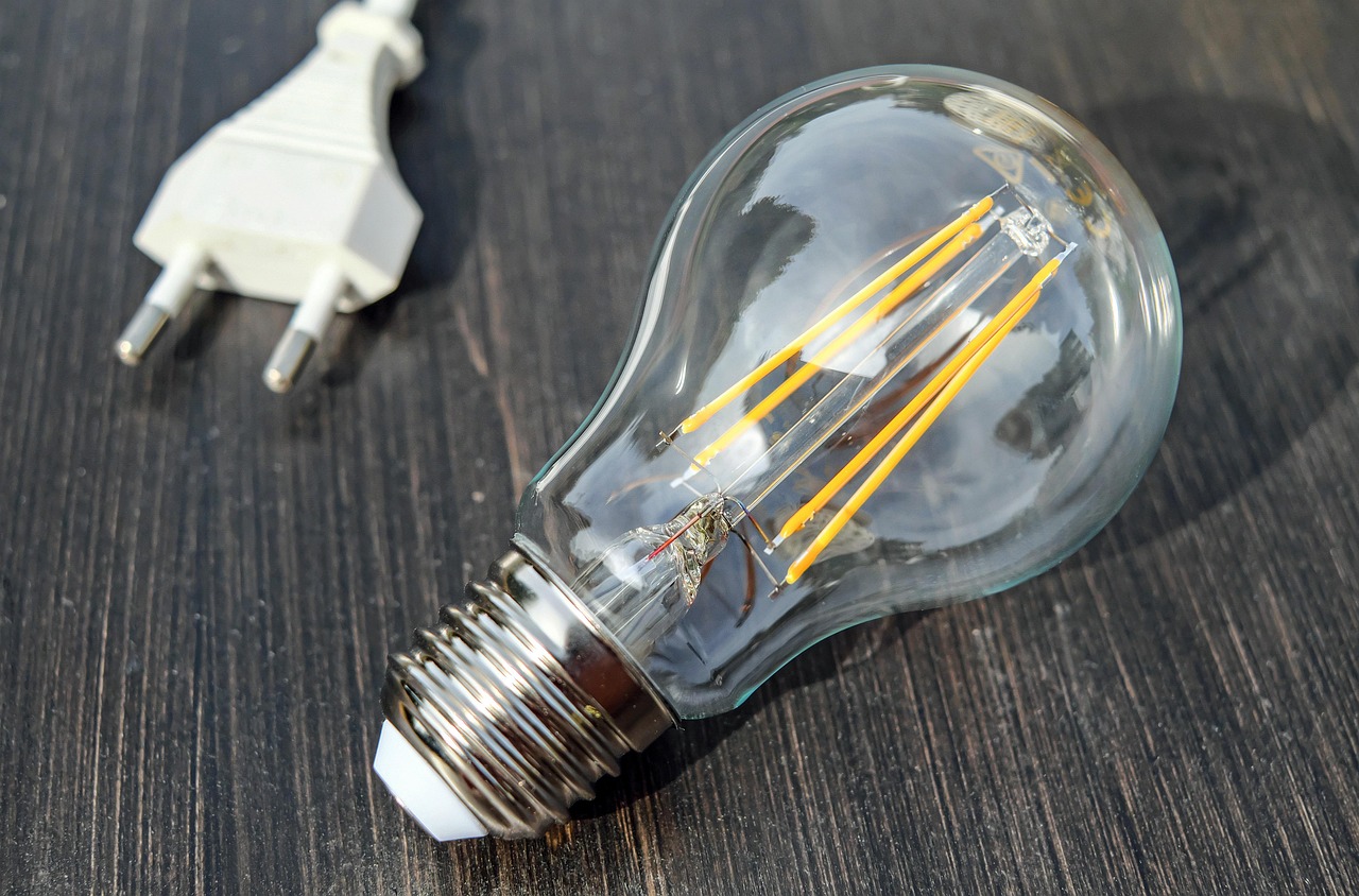 L’électricité décarbonée : enjeux et perspectives