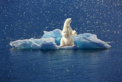 De l’engagement social à l’envol en jet privé : l’étonnante contradiction climatique