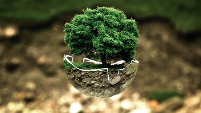 Charte environnementale : Un guide complet pour la durabilité