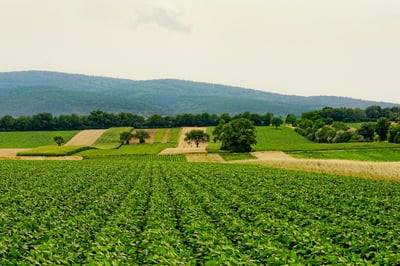 « Depuis mon enfance, l’agriculture me passionne » : le patron de Dyson dévoile sa vision pour une révolution innovante