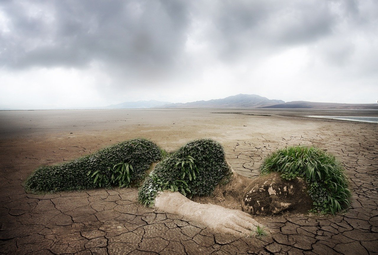 État des lieux environnemental de l’Espagne en 2024