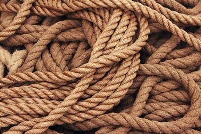 Développement durable : l’Autorité propose des lignes directrices pour une nouvelle plateforme collaborative dédiée au suivi et au partage des données carbone des fournisseurs de la grande distribution