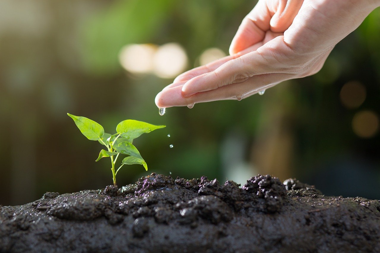 Les bienfaits du jardinage pour réduire son empreinte carbone