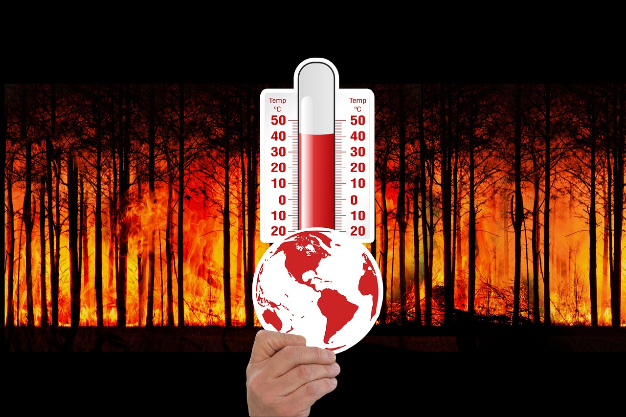 Une étude révèle que chaque individu peut contribuer positivement à la lutte contre le changement climatique