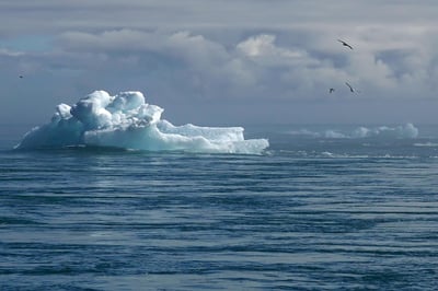 Changement climatique : Les solutions innovantes à portée de main