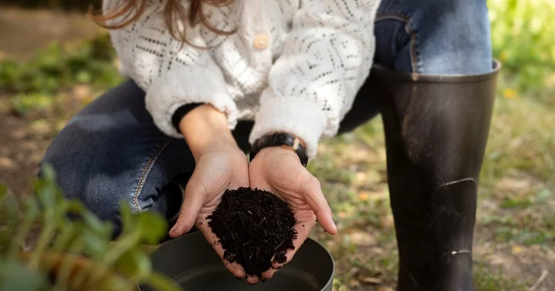Quels sont les 3 piliers de l'agriculture durable ?