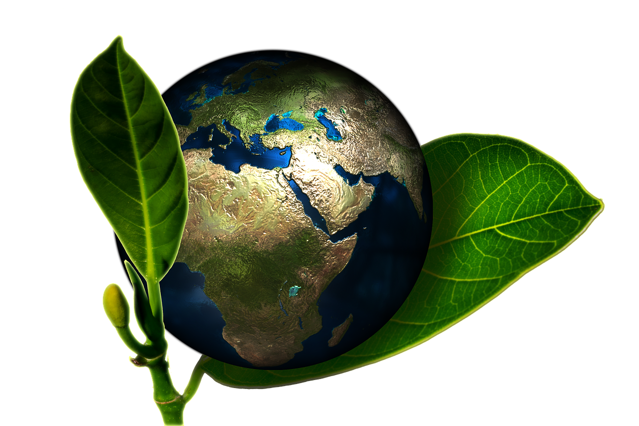 Évaluation de l’impact environnemental : Audit, conseils et bilan carbone