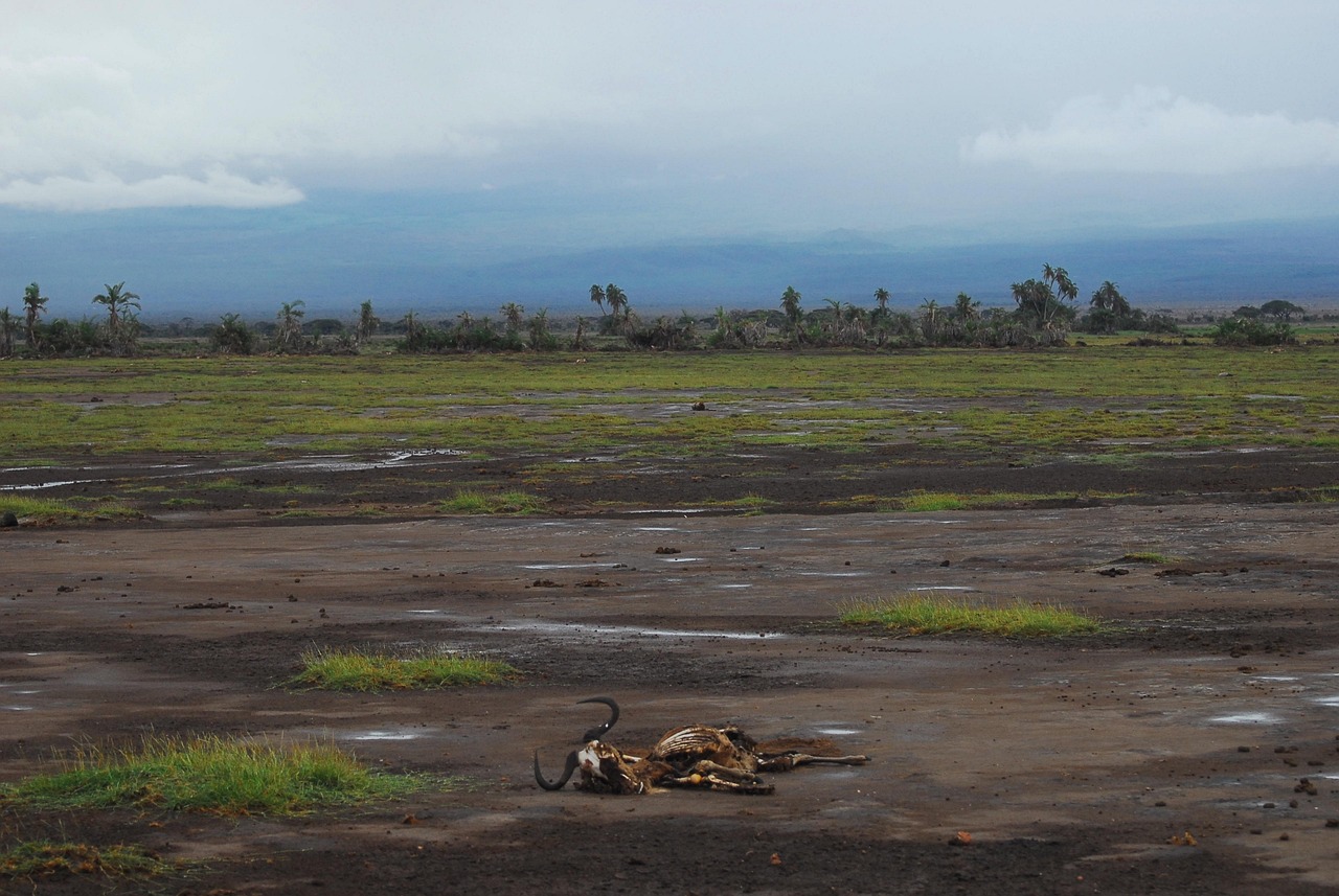 : Tournant climatique et chaos politique sur une Terre en surchauffe