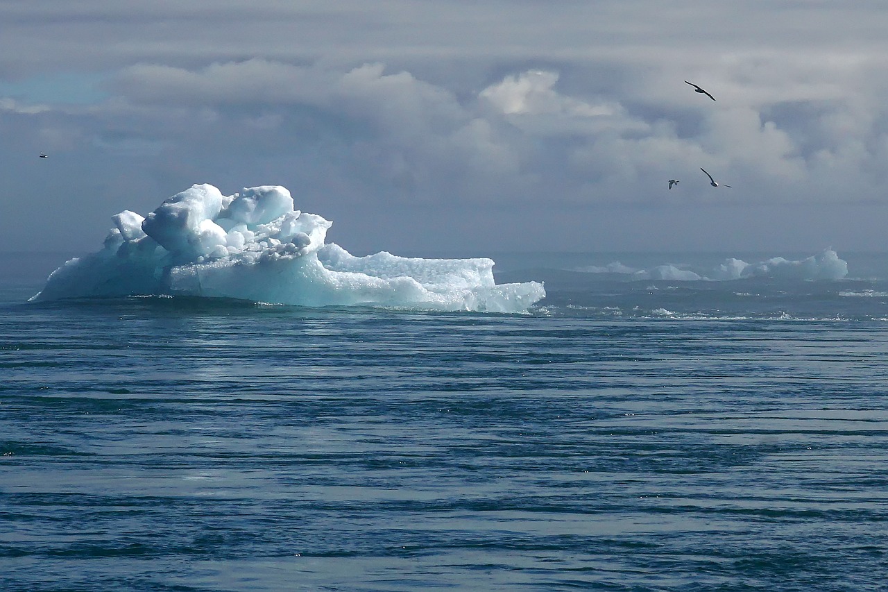 Réchauffement climatique : Suivez les dernières nouvelles, vidéos et visuels en temps réel