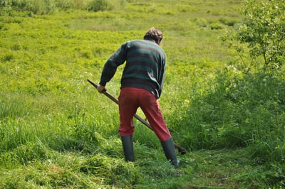 Emplois verts : les opportunités de carrière pour un avenir durable