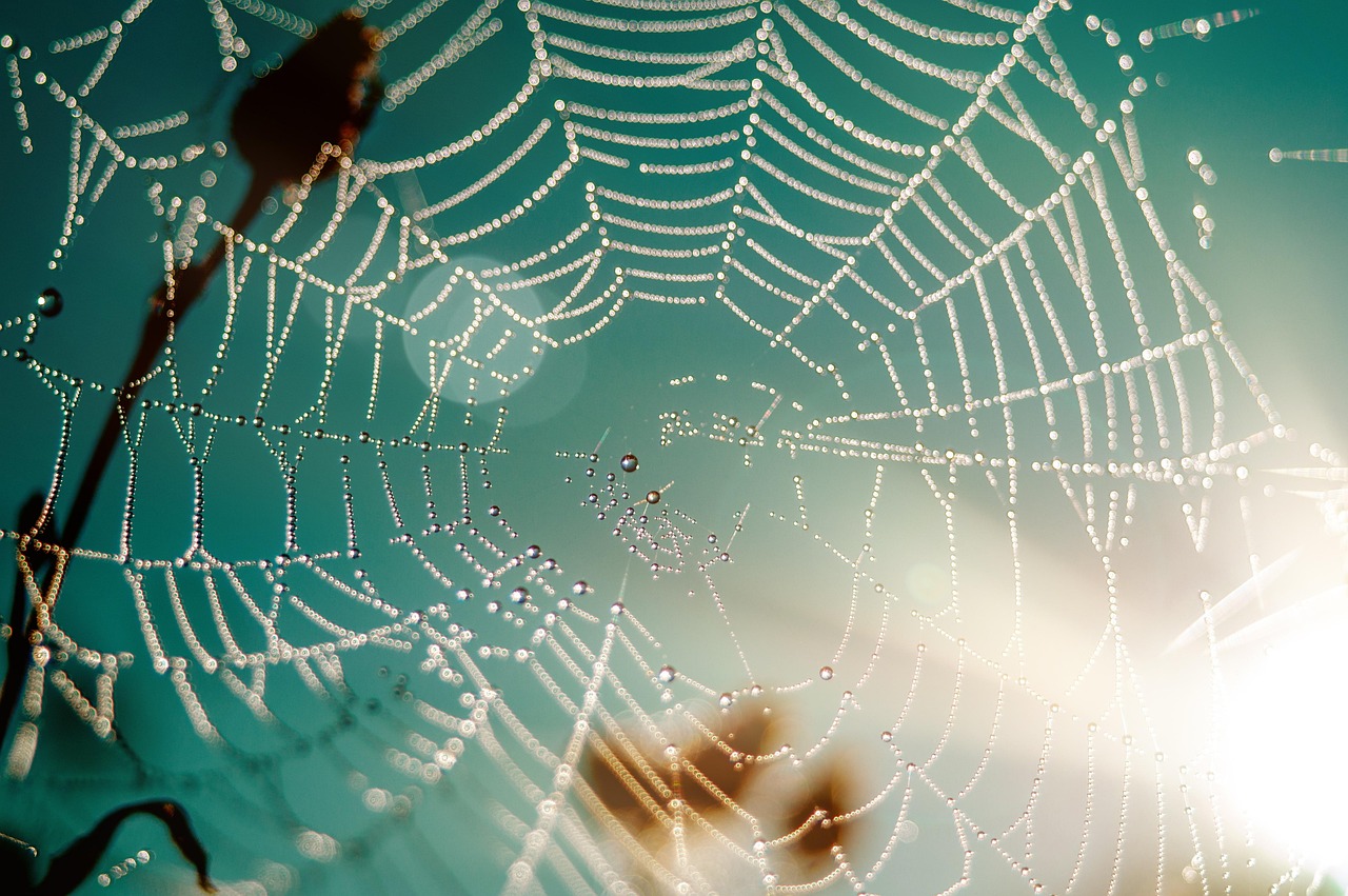 Habitat écologique : Comment créer un espace de vie durable et respectueux de l’environnement