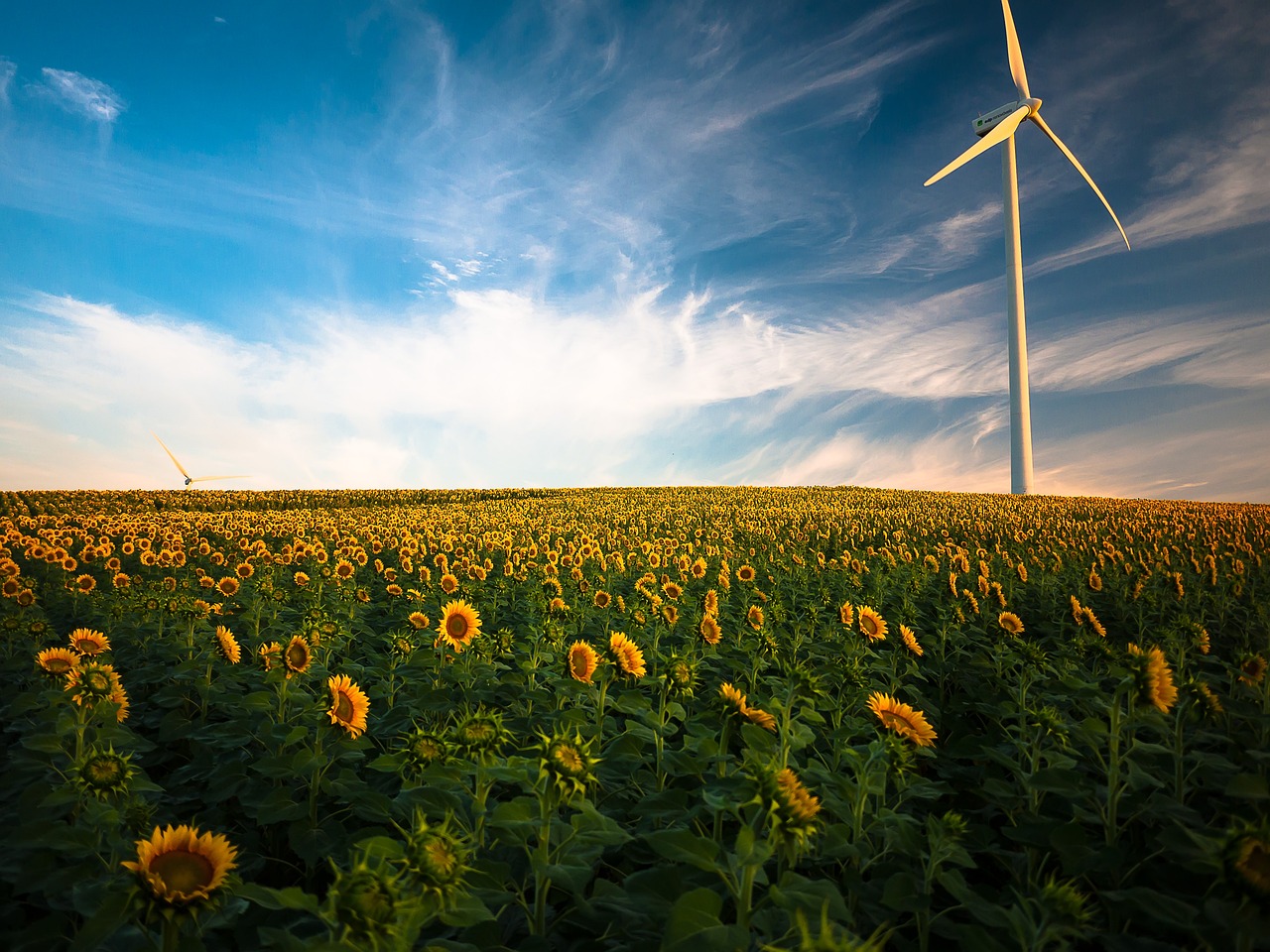 Utiliser des énergies renouvelables pour diminuer son bilan carbone