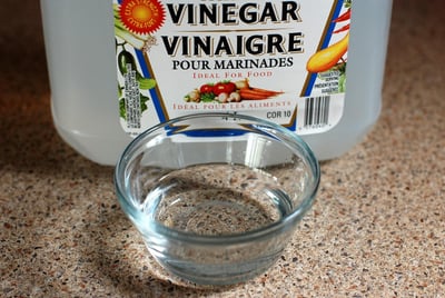 Produits ménagers écologiques : comment adopter des alternatives saines et efficaces pour votre maison