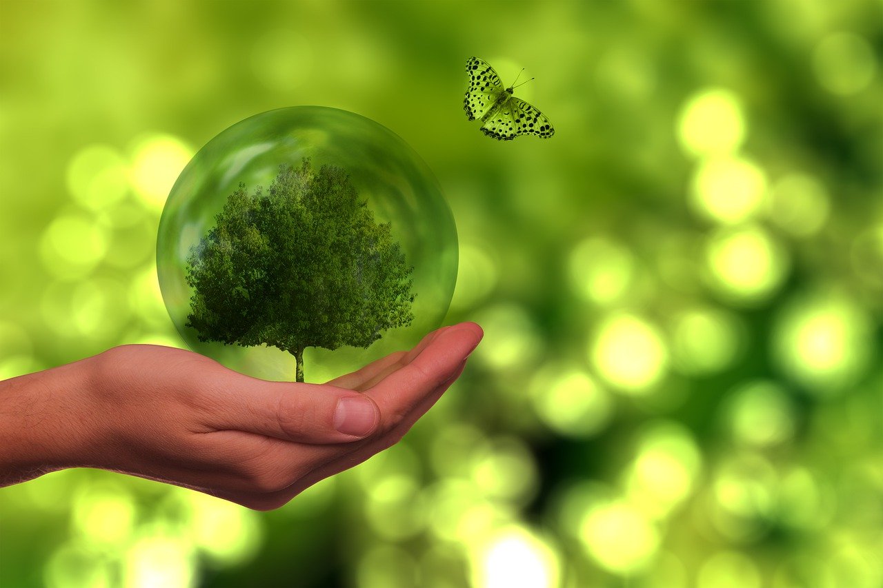 Notre approche pour une performance durable : enjeux et actions de la RSE