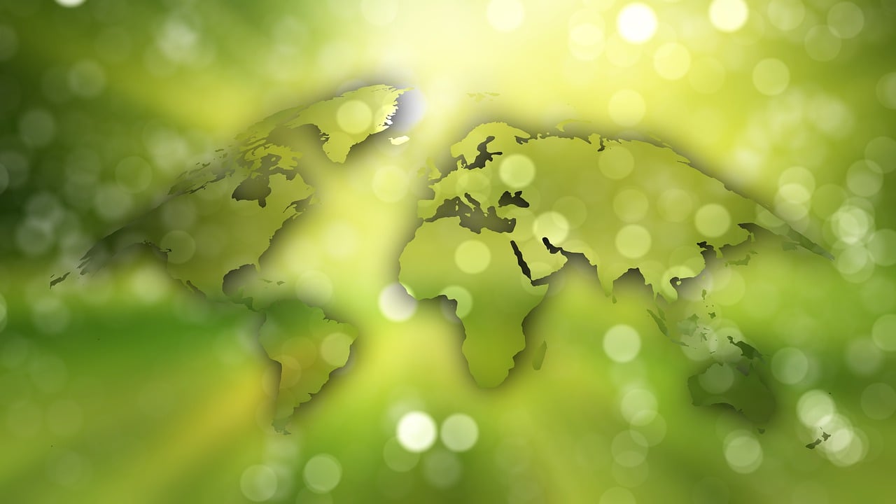 Gardening for a better carbon footprint