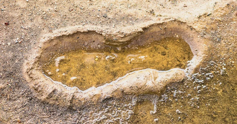 Comment faire pour réduire son empreinte écologique ? Le bon point de départ