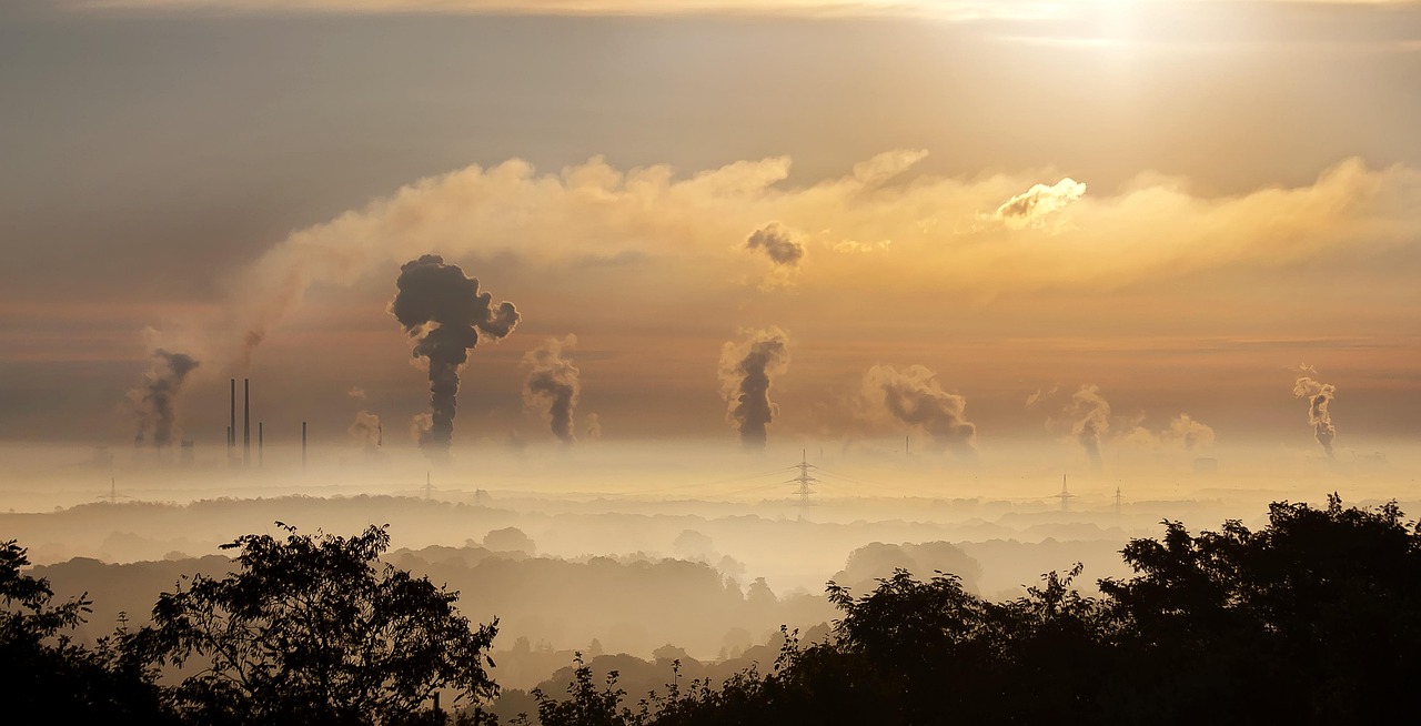 Éducation environnementale : Comprendre l’importance de la sensibilisation dès le plus jeune âge