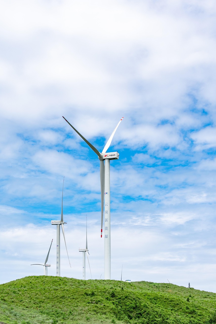 RTS Éducation : L’Importance Cruciale du Développement Durable