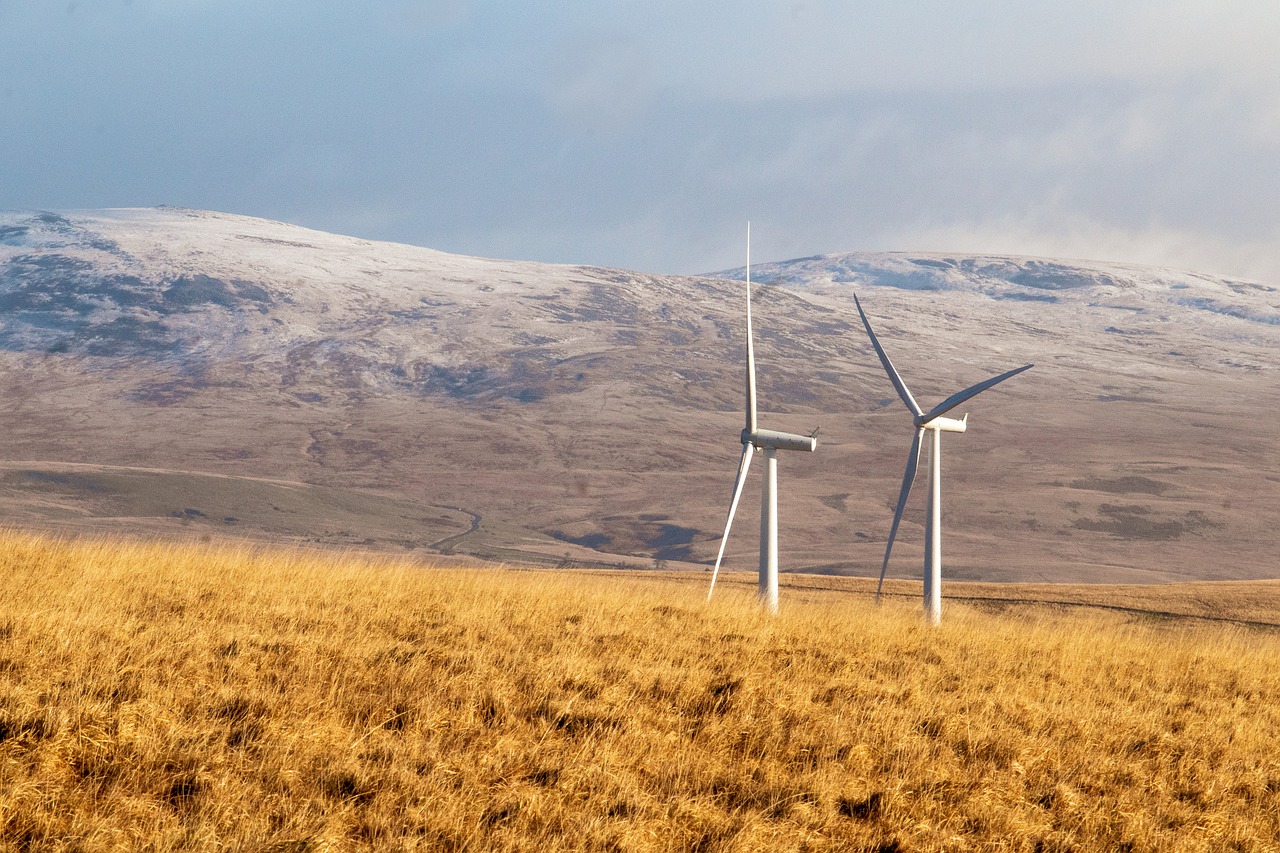 découvrez les avantages et l'importance des énergies renouvelables pour un avenir durable. explorez les différentes sources comme l'énergie solaire, éolienne et hydraulique, et apprenez comment elles contribuent à la réduction des émissions de carbone et à la préservation de notre planète.