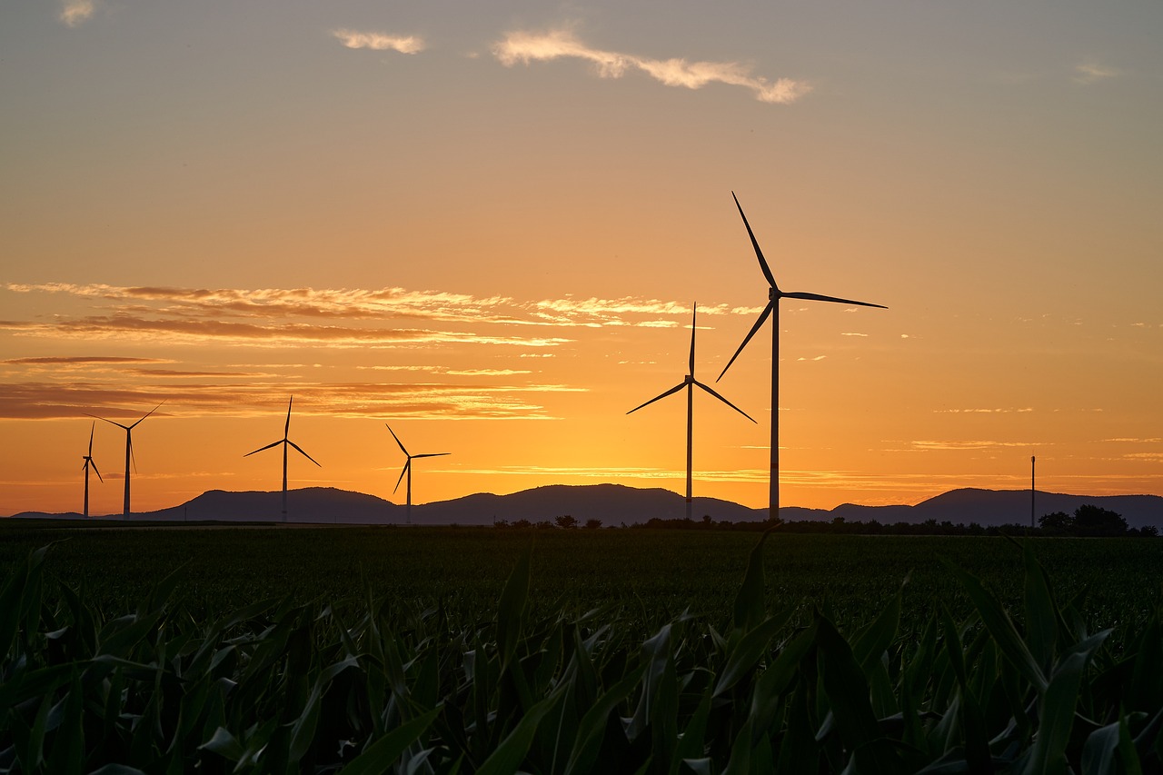 découvrez l'importance des énergies renouvelables pour un avenir durable. explorez les différentes sources d'énergie verte, leurs avantages et comment elles contribuent à la transition énergétique face aux défis environnementaux.