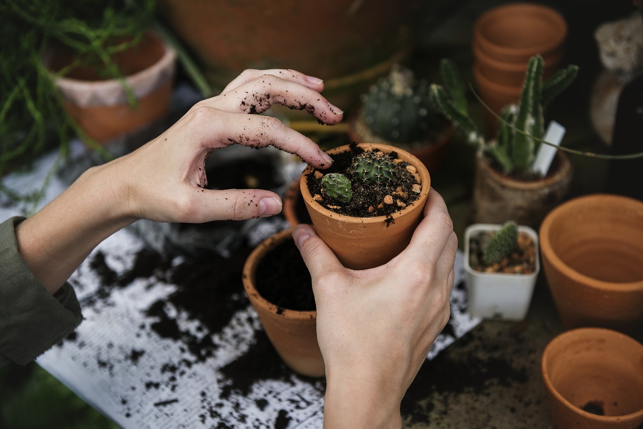 découvrez l'univers passionnant du jardinage ! apprenez des conseils pratiques pour cultiver vos plantes, entretenir votre jardin et créer un espace verdoyant. que vous soyez débutant ou expert, explorez des astuces pour faire fleurir votre créativité au jardin.