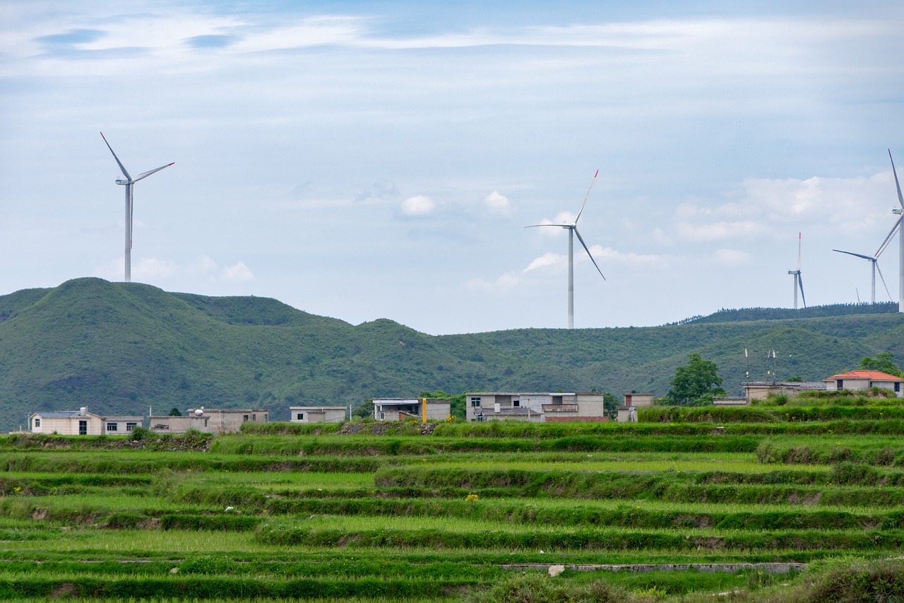 découvrez comment le développement durable façonne un avenir meilleur en alliant croissance économique, protection de l'environnement et justice sociale. explorez les stratégies et les initiatives pour bâtir une société responsable et respectueuse des ressources de notre planète.